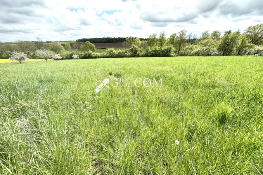 Terrain à vendre à Maixe