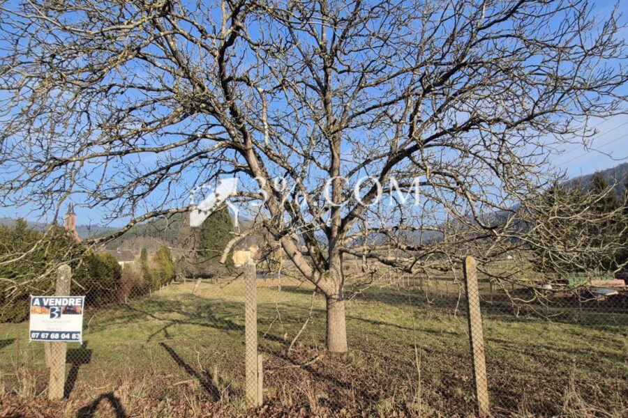 Terrain à vendre à Eguelshardt — Vue nature — photo 3