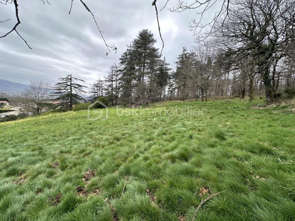 🏡 Terrain constructible avec projet de maison – cadre exceptionnel – NR pièces – NR chambres – 3200 m²