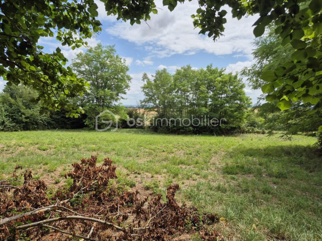 Terrain constructible vue Pyrénées – NR pièces – NR chambres – 5838 m²