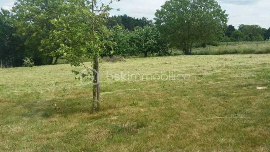 Terrain Constructible de 1095 m² à Savigny sur Clairis – NR pièces – NR chambres – 1095 m²