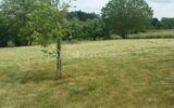 Terrain Constructible de 1095 m² à Savigny sur Clairis – NR pièces – NR chambres – 1095 m²