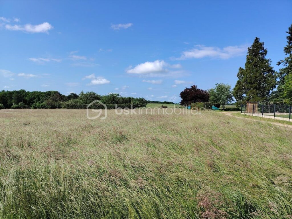 TERRAIN CONSTRUCTIBLE PROCHE MONNAIE – NR pièces – NR chambres – 1349 m²