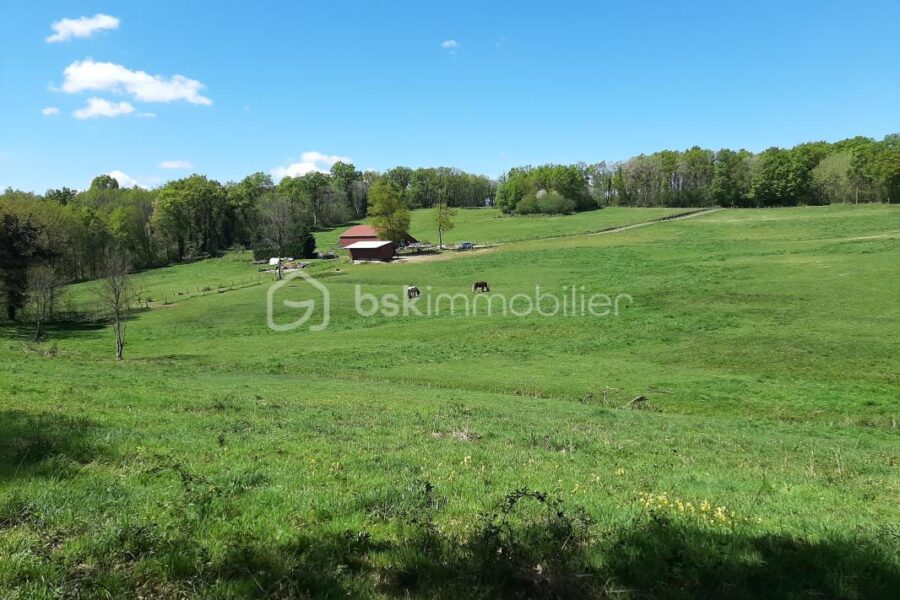 Terrain à vendre à Chaillac sur vienne