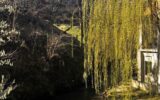Ancien moulin renové avec grange et terrain à Boisset 15600 – 5 pièces – 4 chambres