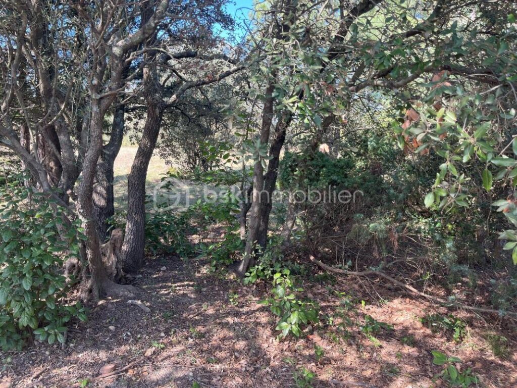 Terrain constructible Vue dominante – NR pièces – NR chambres – 1572 m²