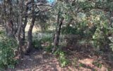 Terrain constructible Vue dominante – NR pièces – NR chambres – 1572 m²