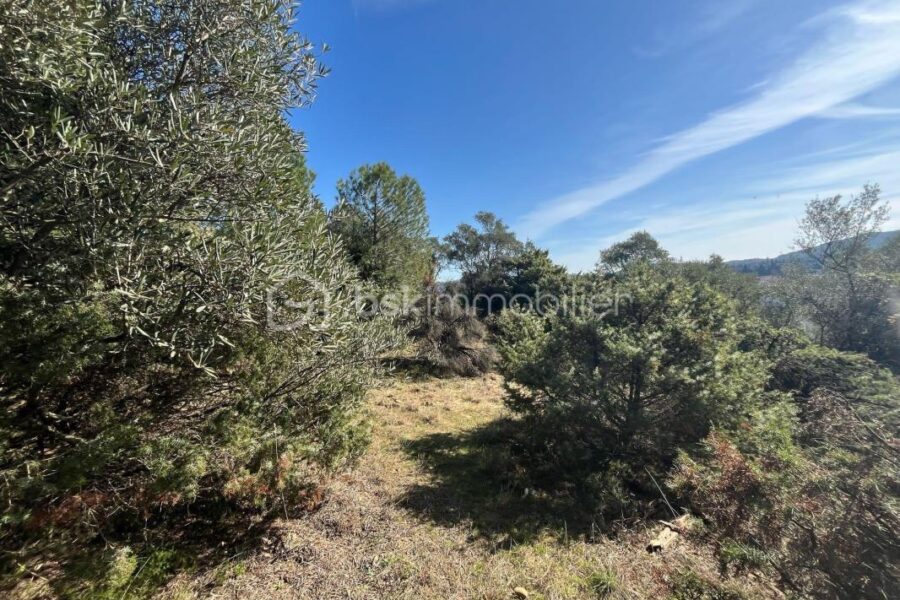Terrain à vendre à Saze