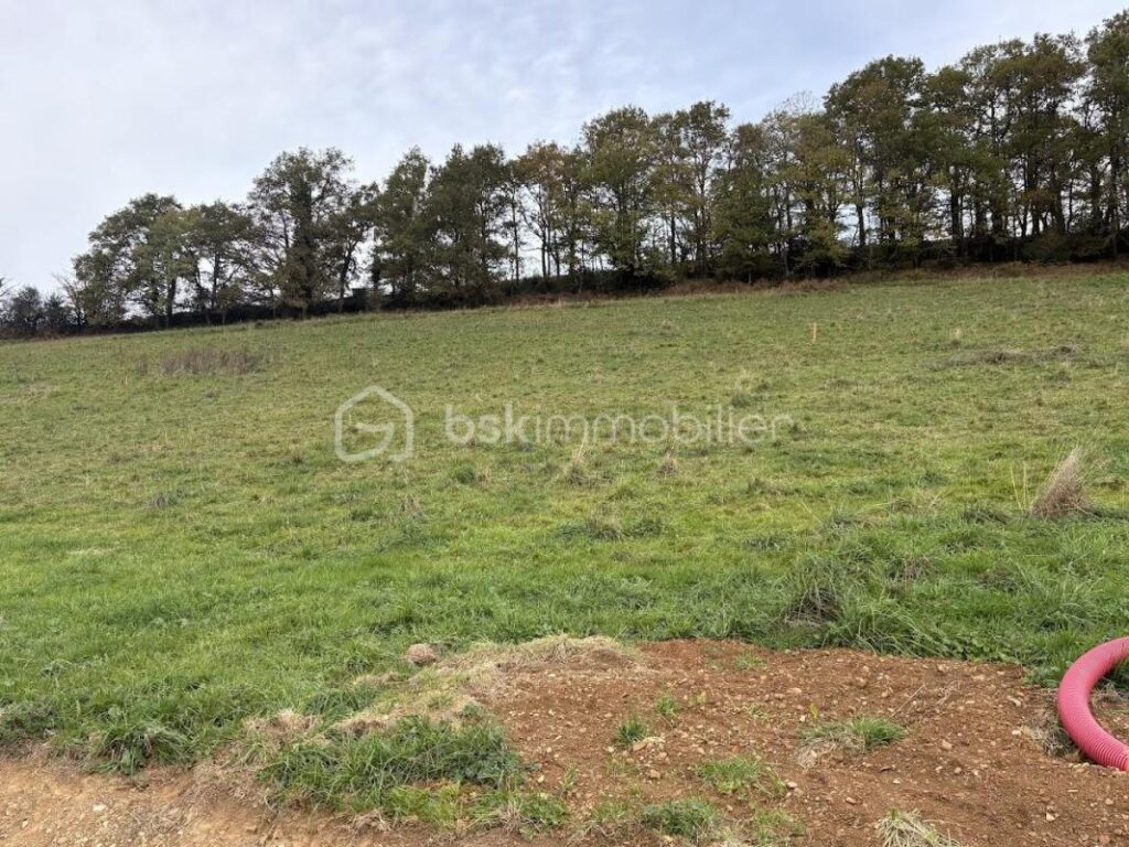 Terrain Constructible Vue Pyrénées – NR pièces – NR chambres – 1831 m²