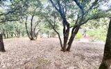 VILLA – PISCINE – PARC – MAISONNETTE – VILLAGE – 5 pièces – 4 chambres – 165 m²