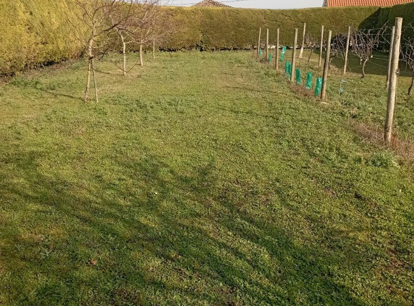 Terrain à vendre à Cherves-richemont