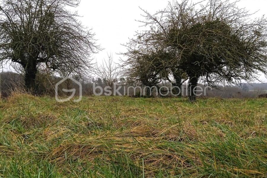 Terrain à vendre à Chateau renault