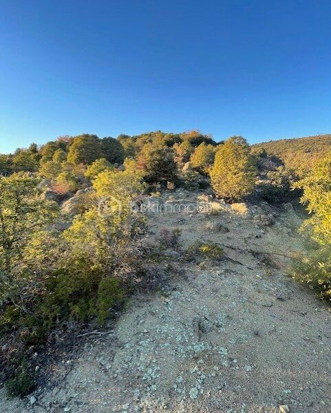 Terrain à vendre à Catllar