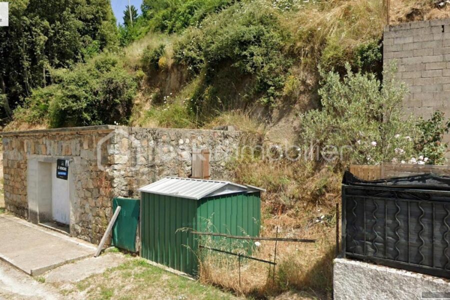 Terrain à vendre à Olivese