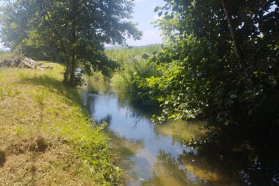 Terrain à vendre à Cazeres