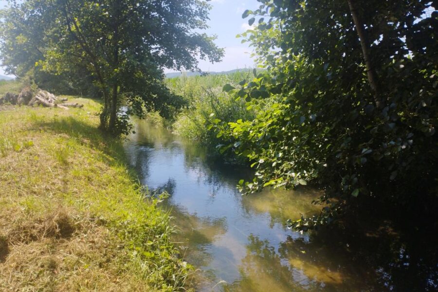 Terrain à vendre à Cazeres