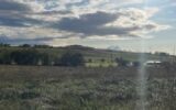 Terrain à vendre à Moncel sur seille