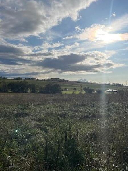 Terrain à vendre à Moncel sur seille
