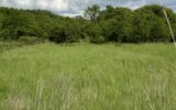 Terrain à vendre à Moncel sur seille
