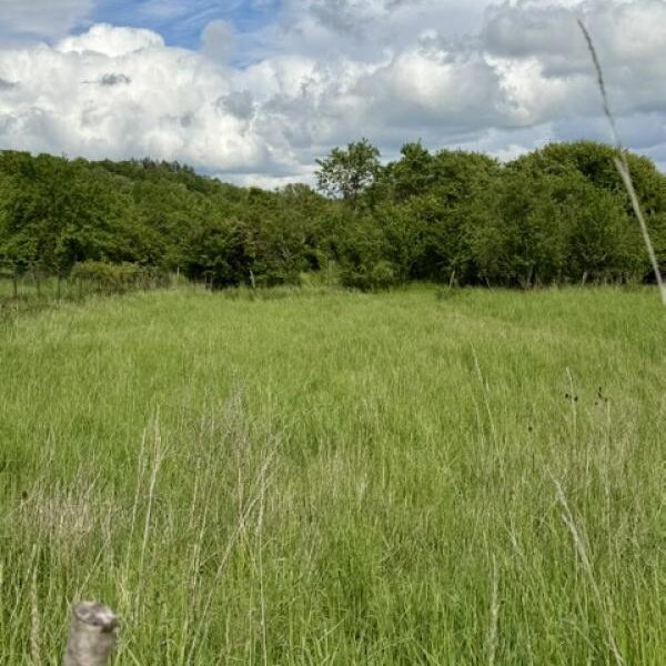 Terrain à vendre à Moncel sur seille
