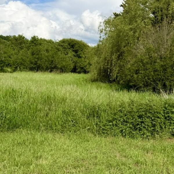 Terrain à vendre à Moncel sur seille