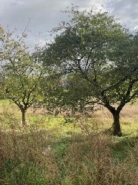 Terrain à vendre à Moncel sur seille