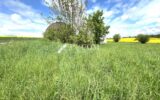 Terrain à vendre à Maixe