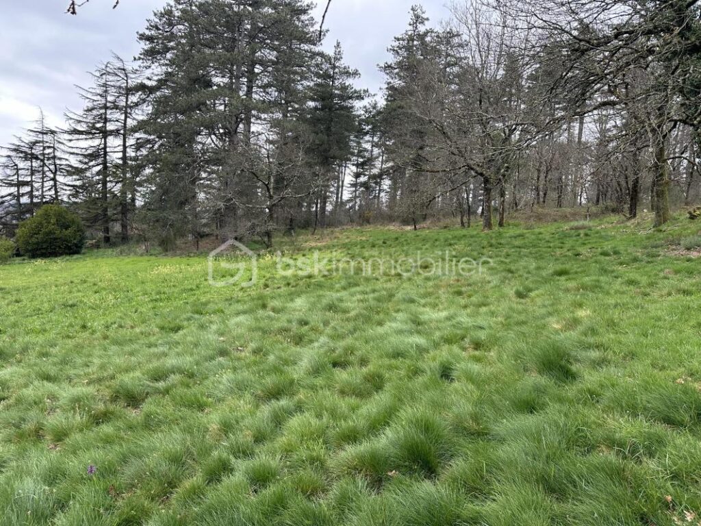 🏡 Terrain constructible avec projet de maison – cadre exceptionnel – NR pièces – NR chambres – 3200 m²