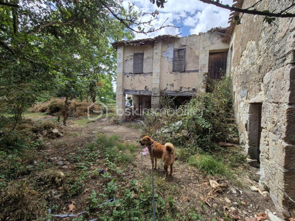 Terrain constructible vue Pyrénées – NR pièces – NR chambres – 5838 m²