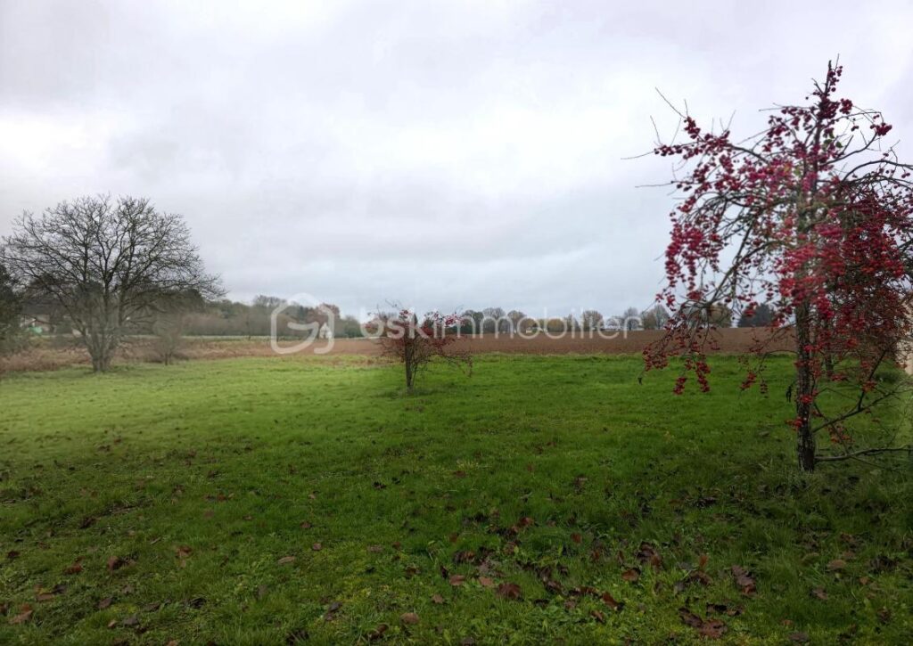 Terrain Constructible de 1095 m² à Savigny sur Clairis – NR pièces – NR chambres – 1095 m²