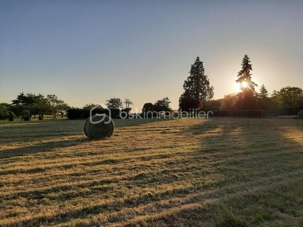 TERRAIN CONSTRUCTIBLE PROCHE MONNAIE – NR pièces – NR chambres – 1349 m²