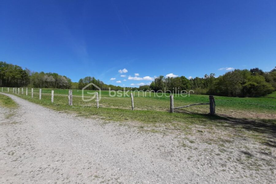 Terrain à vendre à Chaillac sur vienne