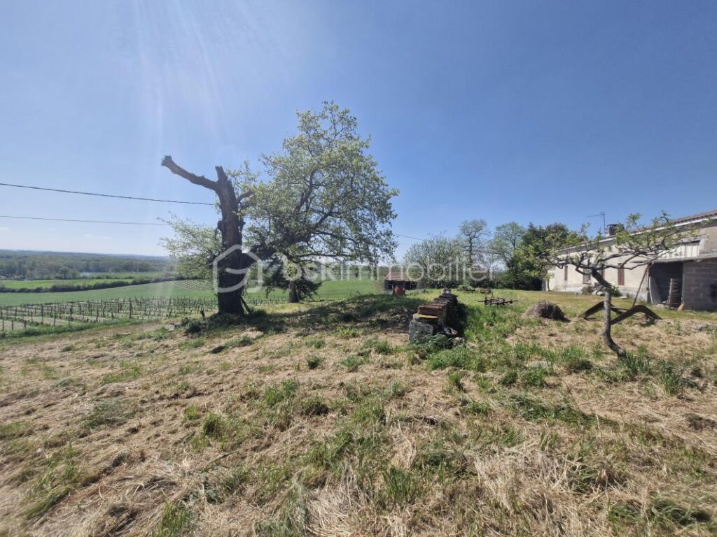 Belle maison en pierre à rénover de 150m2 avec deux dépendances de 100m2 et terrain de 47 hectares – 4 pièces – 2 chambres – 150 m²