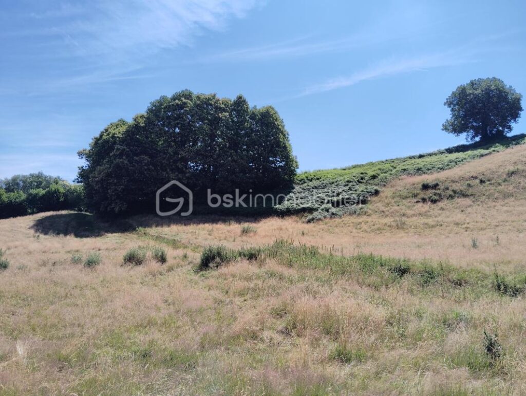 EXCEPTIONNEL ! POINT DE VUE/ESPACE/TRANQUILITE. Ancienne ferme de 1710, 275 m2 habitables, 10 chambres, 2.7 ha et de nombreuses dépendances – 11 pièces – 10 chambres