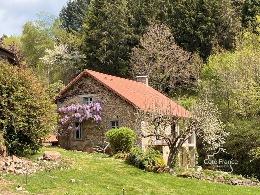 Ancien moulin renové avec grange et terrain à Boisset 15600 – 5 pièces – 4 chambres
