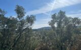 Terrain constructible Vue dominante – NR pièces – NR chambres – 1572 m²