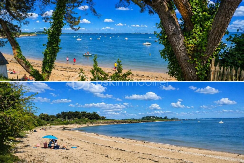 AMBON TERRAIN A BATIR / VUE MER / 200 M DE LA PLAGE – NR pièces – NR chambres – 709 m²