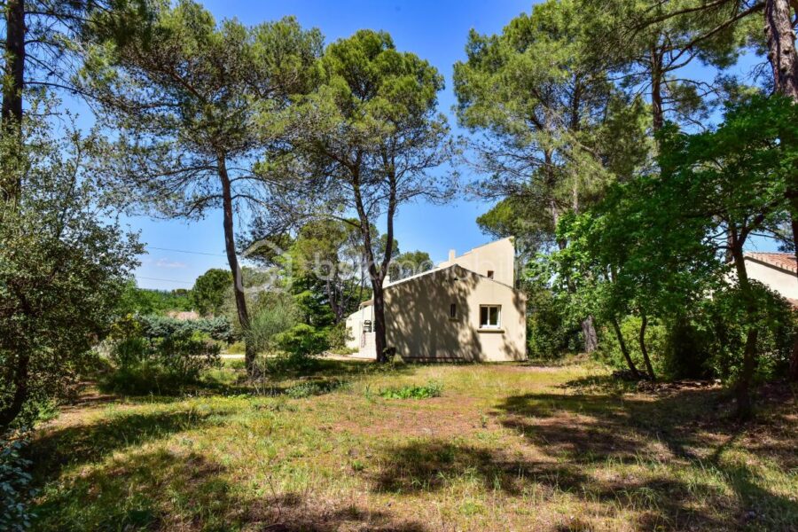 Maison à vendre à Bollene — Vue nature — photo 5