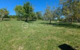 FERME RENOVEE AVEC 1Ha – 4 pièces – 3 chambres – 150 m²