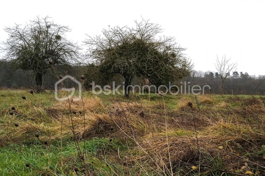 Terrain à vendre à Chateau renault