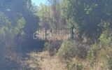 Terrain à vendre à Roquebrune sur argens