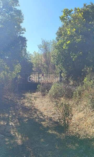 Terrain à vendre à Roquebrune sur argens