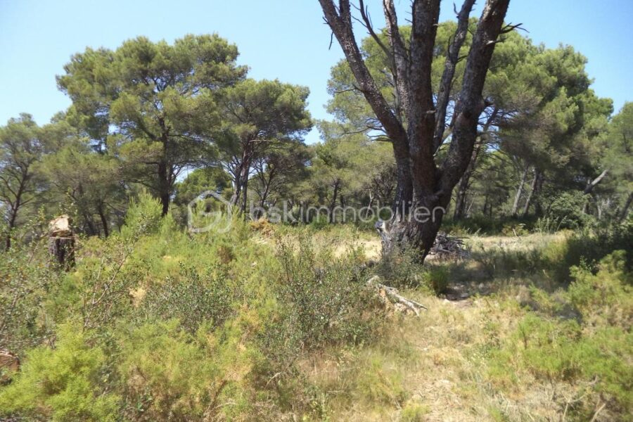 Terrain à vendre à Lambesc