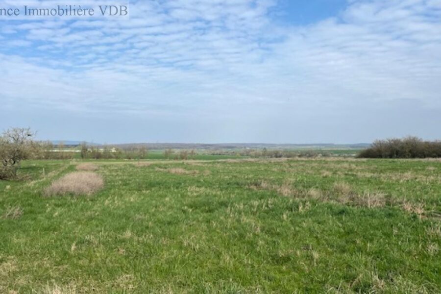 Terrain à vendre à Haraucourt