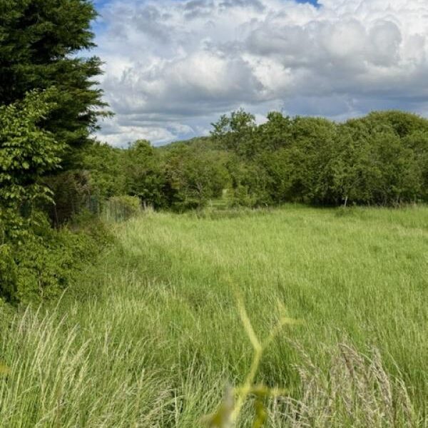 Terrain à vendre à Moncel sur seille