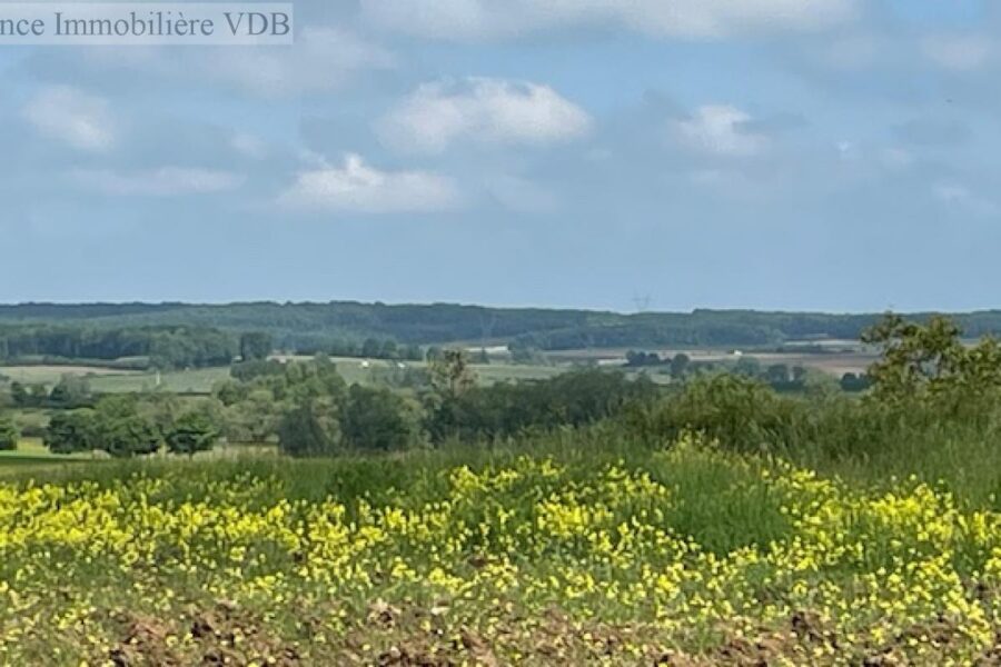 Terrain à vendre à Haraucourt