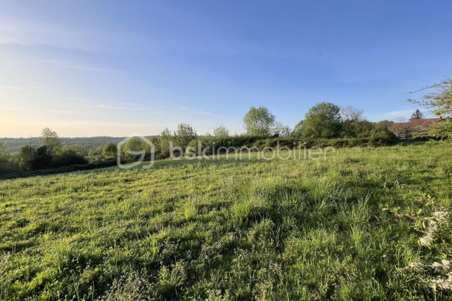 Terrain à vendre à Chatres