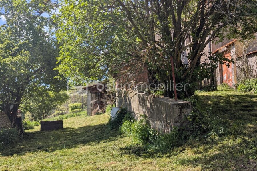 Maison à vendre à Souzy — Vue nature — photo 6