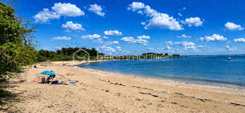 AMBON / TERRAIN A BATIR / VUE MER / 200 M DE LA PLAGE – NR pièces – NR chambres – 4031 m²