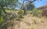 Terrain à vendre à La pacaudiere